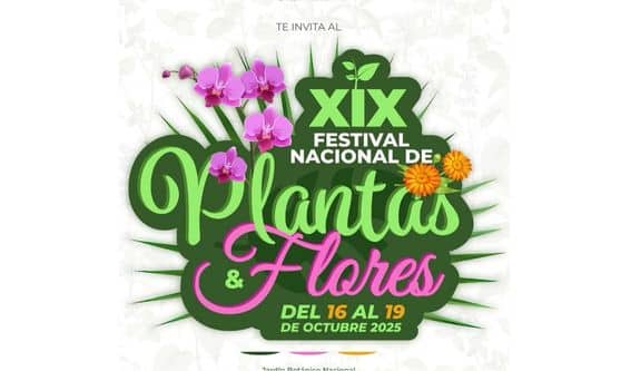 XIX-Festival-Nacional-de-Plantas-y-Flores XIX Festival Nacional de Plantas y Flores