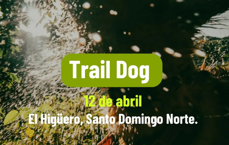 Trail-Dog-–-Caminata-con-tu-Perrito Trail Dog – Caminata con tu Perrito